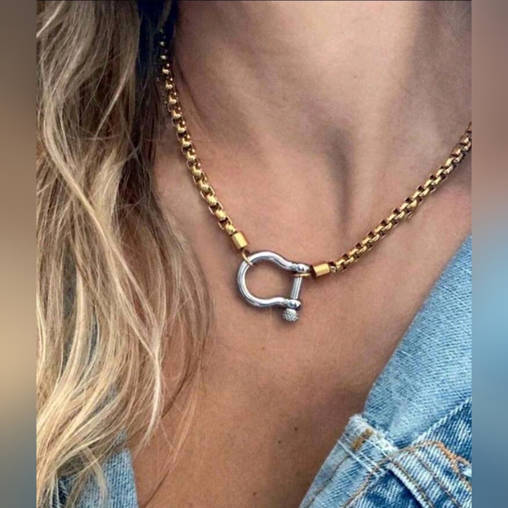 Western Cowgirl Horseshoe Buckle Necklace Gold and Silver Chain Necklace